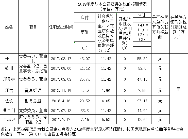 尊龙时凯认真人2018年度薪酬情形