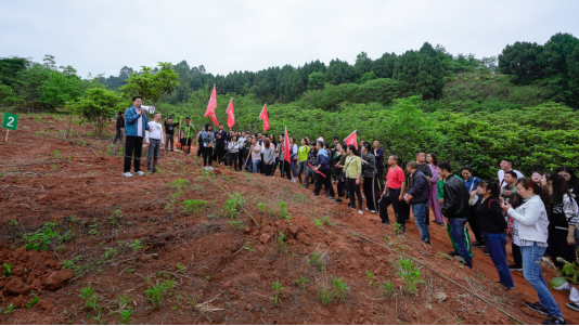 省尊龙时凯集团开展龙泉山都会森林公园 “包山头”植树运动